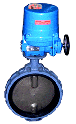 Electric_Actuator