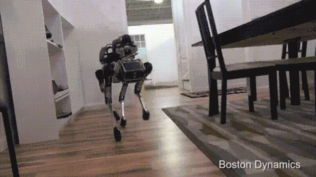 robot-dog